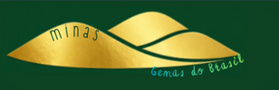 Translation missing: en.Minas Gemas do Brasil accessibility.home